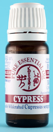 Cypress Oil 10ml